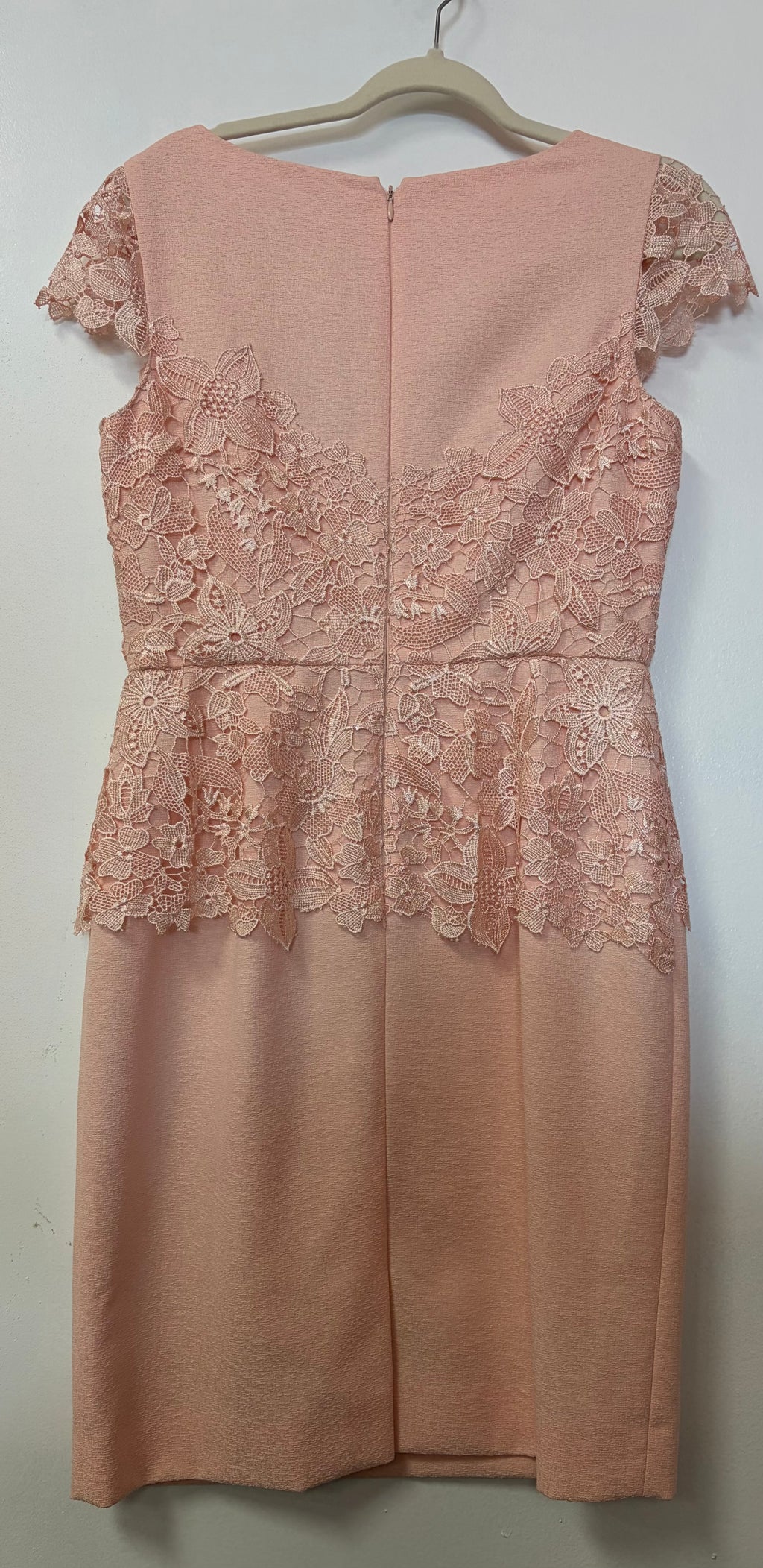 Antonio Melani Blush Floral Lace Sheath Dress with Cap Sleeves and Scalloped Neckline