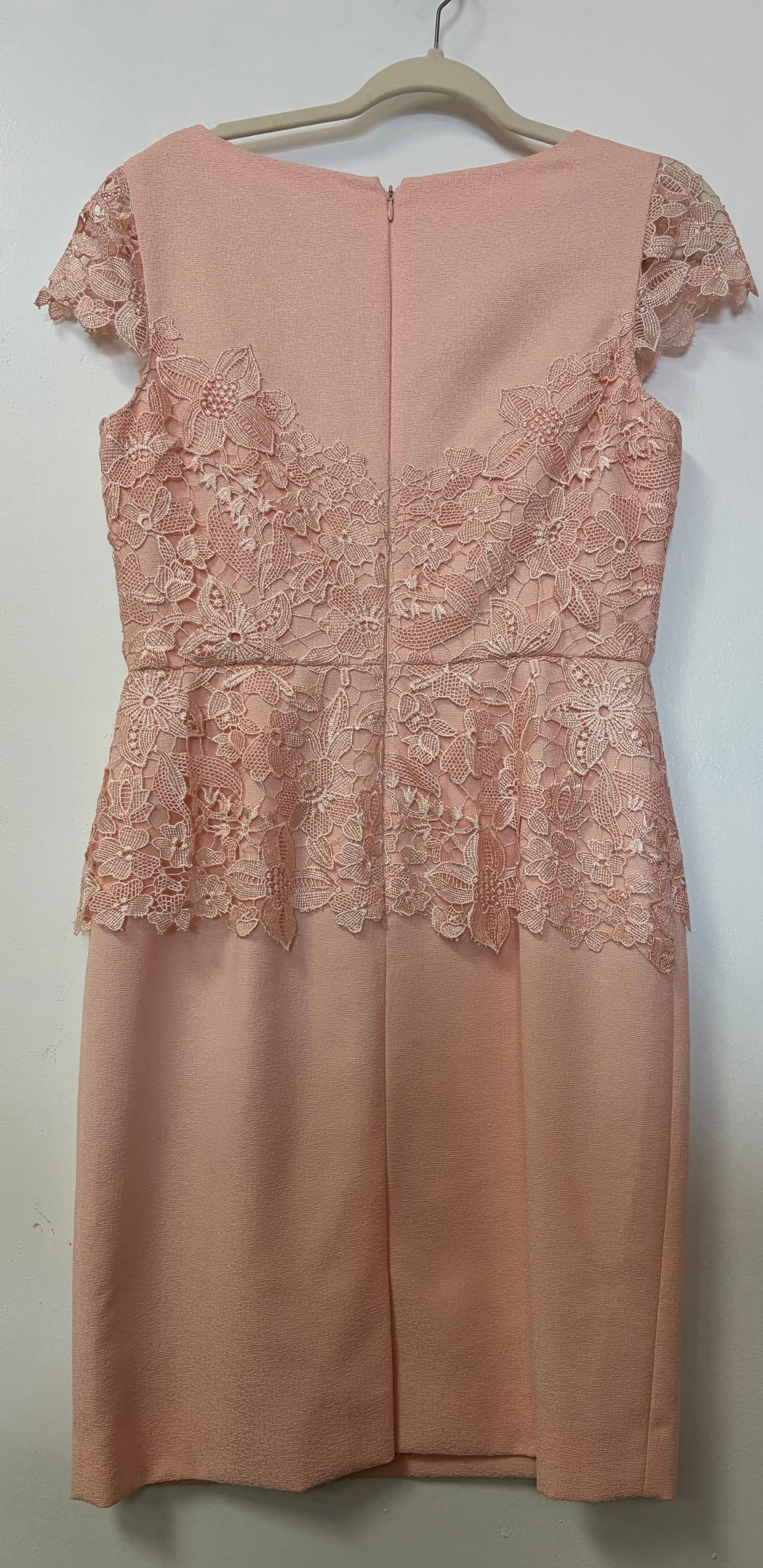 Antonio Melani Blush Floral Lace Sheath Dress with Cap Sleeves and Scalloped Neckline