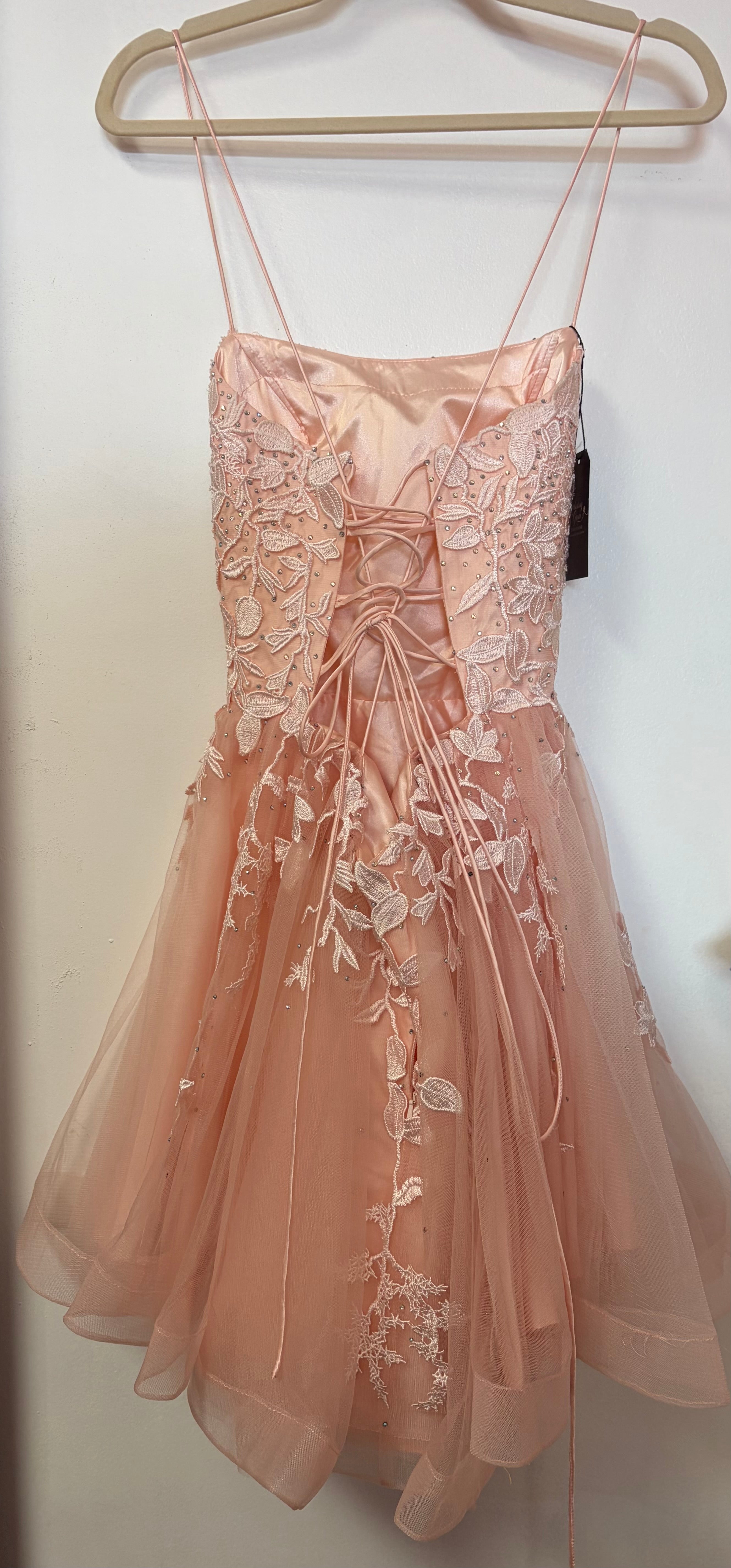 Amelia Couture Blush Embroidered Homecoming Dress with Beaded Lace Bodice