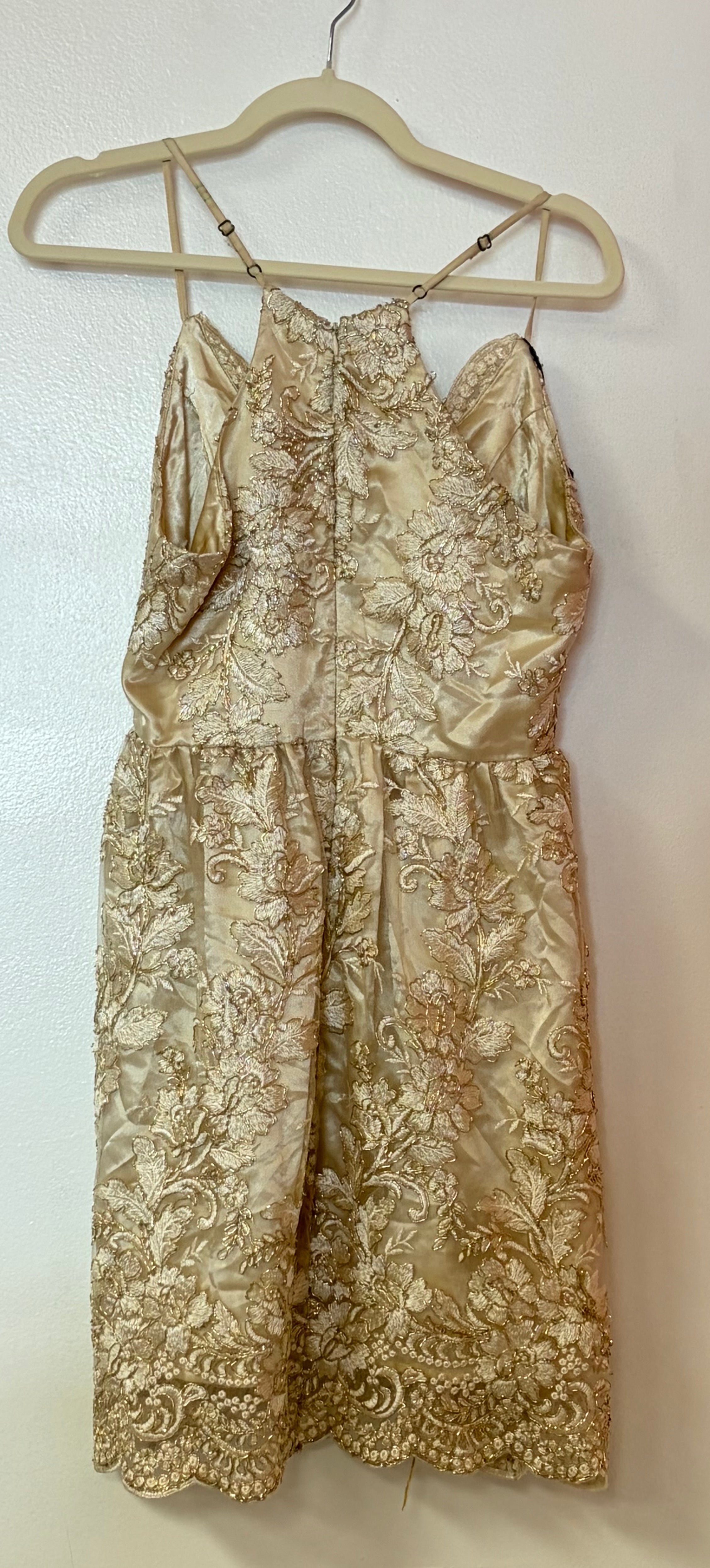 Altar’d State Champagne Embroidered Lace Fit and Flare Dress with Beaded Bodice
