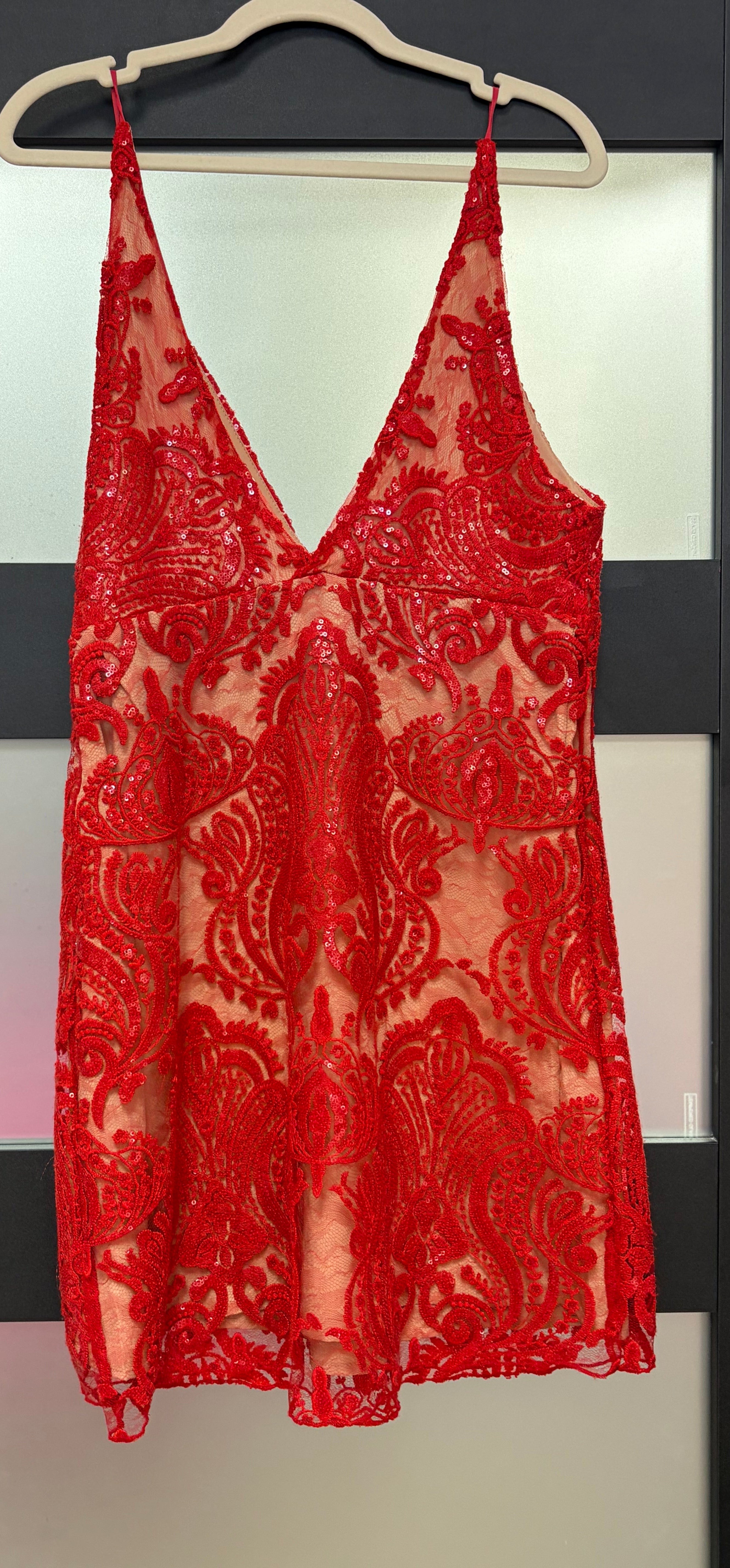 Free People Red Embroidered Lace Sheer Mini Dress