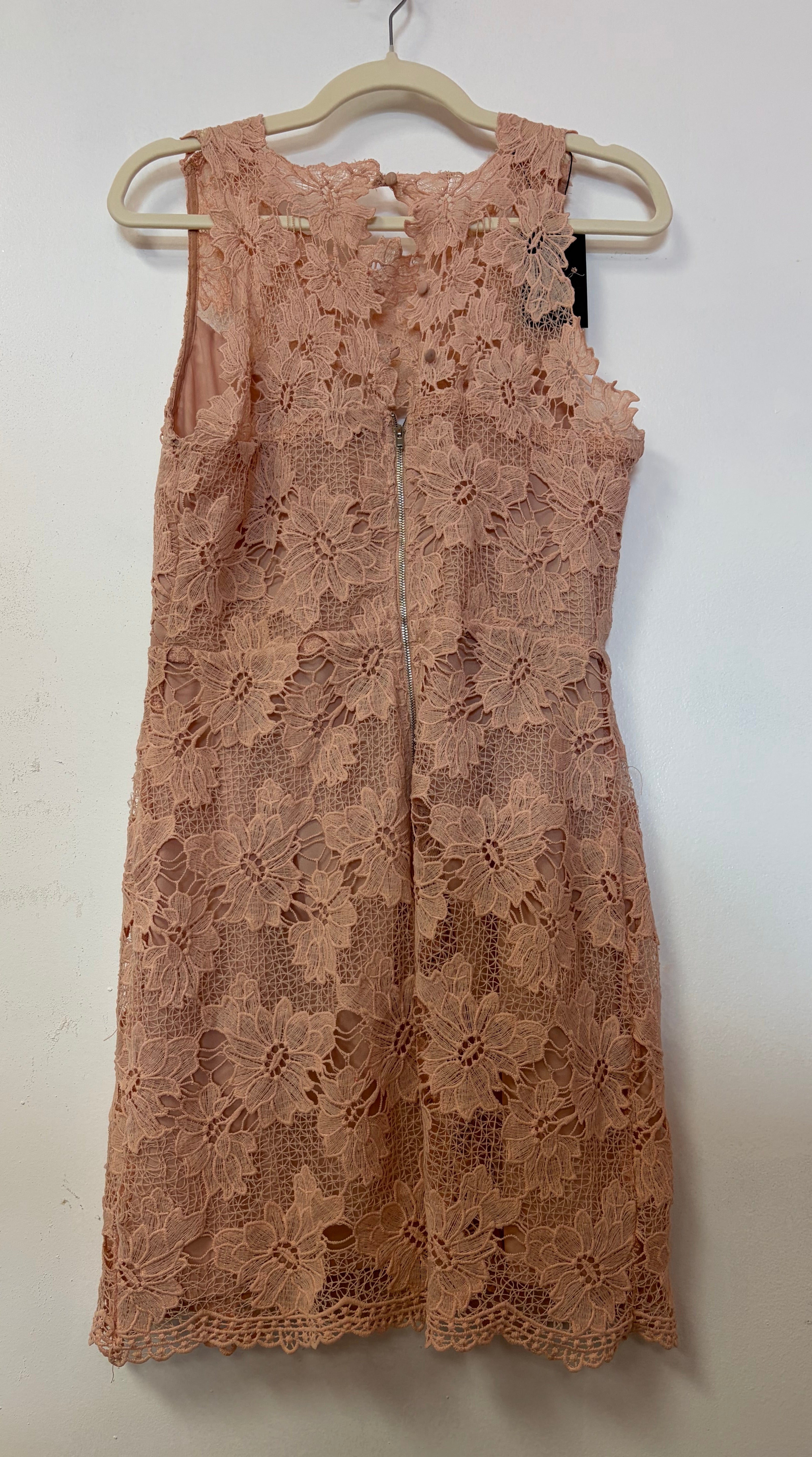 Blush Floral Crochet Lace Shift Dress with Scalloped Hem