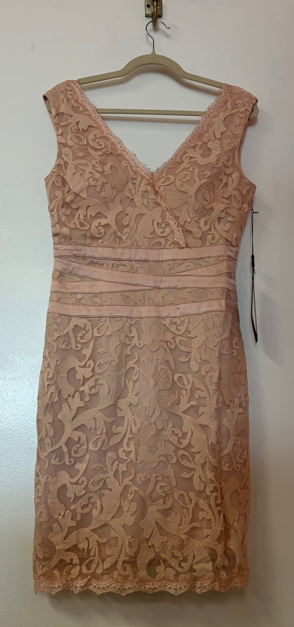 Chicas Blush Lace Sheath Cocktail Dress with Surplice V-Neck and Eyelash Trim