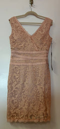 Chicas Blush Lace Sheath Cocktail Dress with Surplice V-Neck and Eyelash Trim
