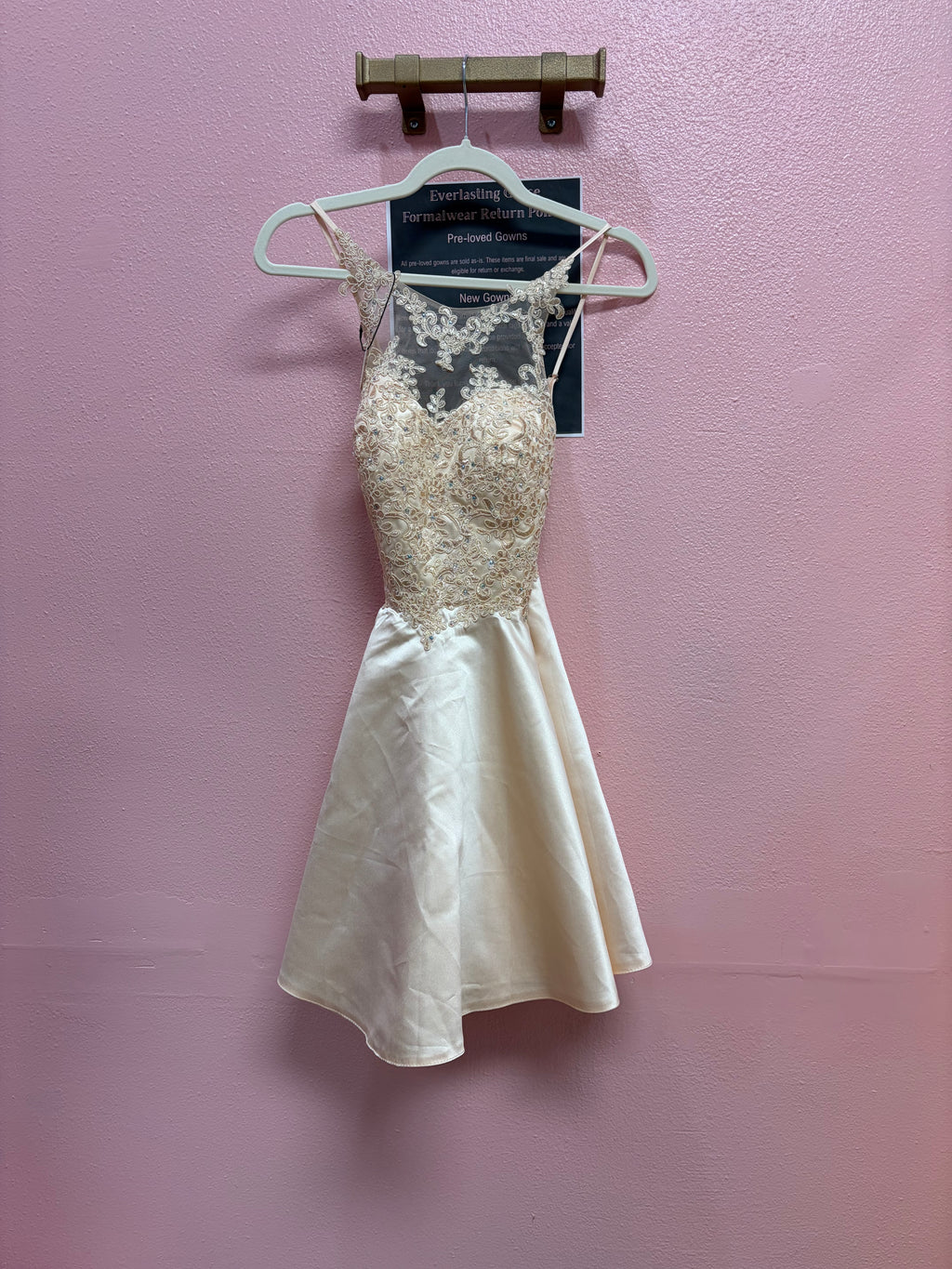 Blush Champagne Embroidered Skater Dress