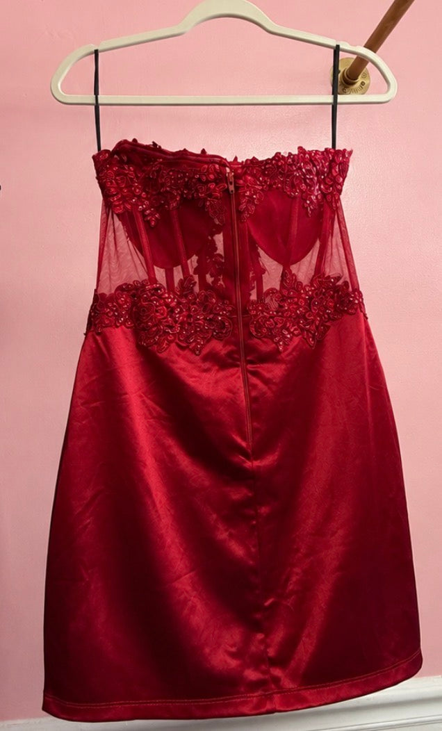 Windsor Burgundy Satin Corset Lace Appliqué Bodycon Mini Dress