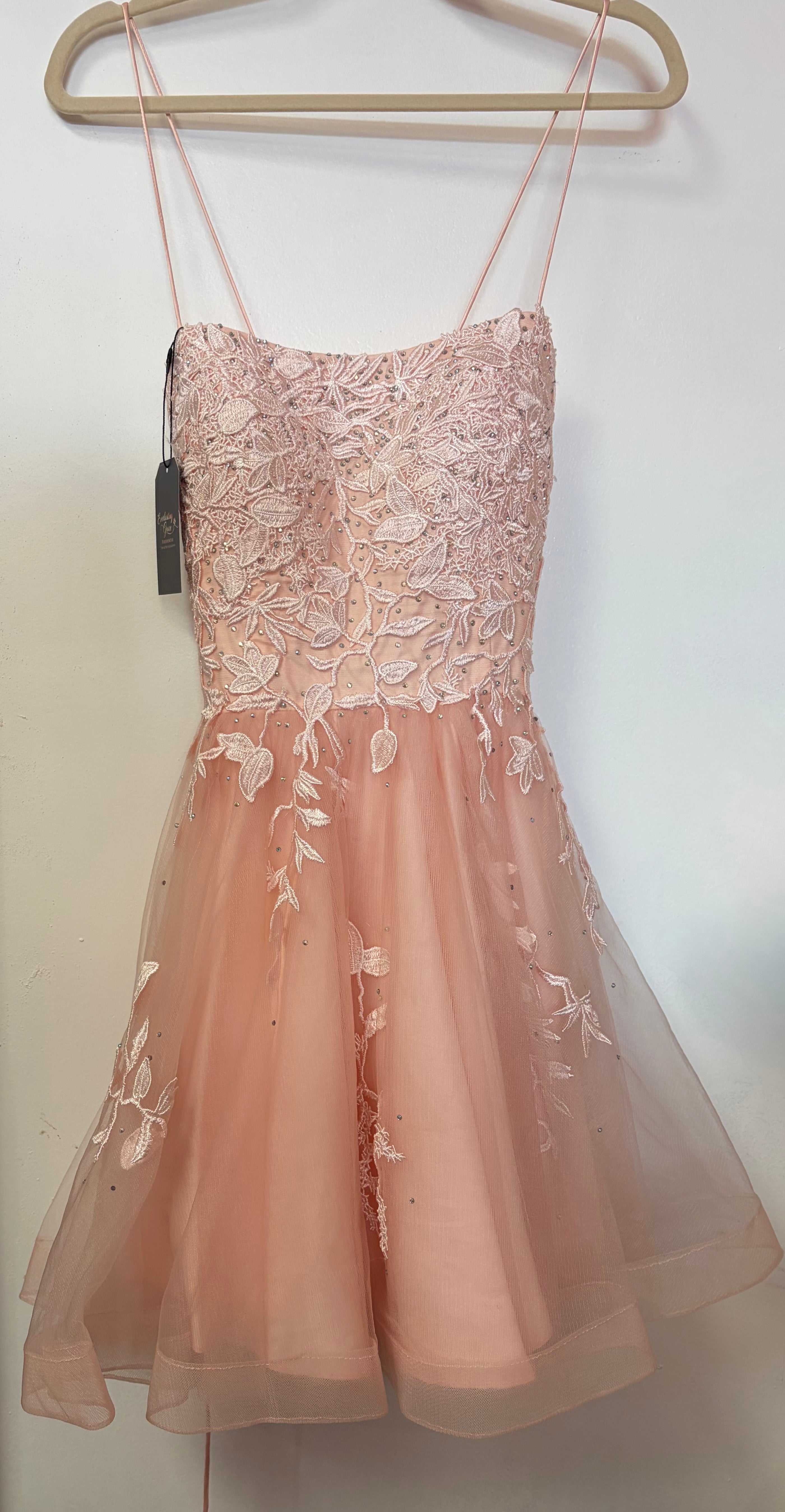 Amelia Couture Blush Embroidered Homecoming Dress with Beaded Lace Bodice