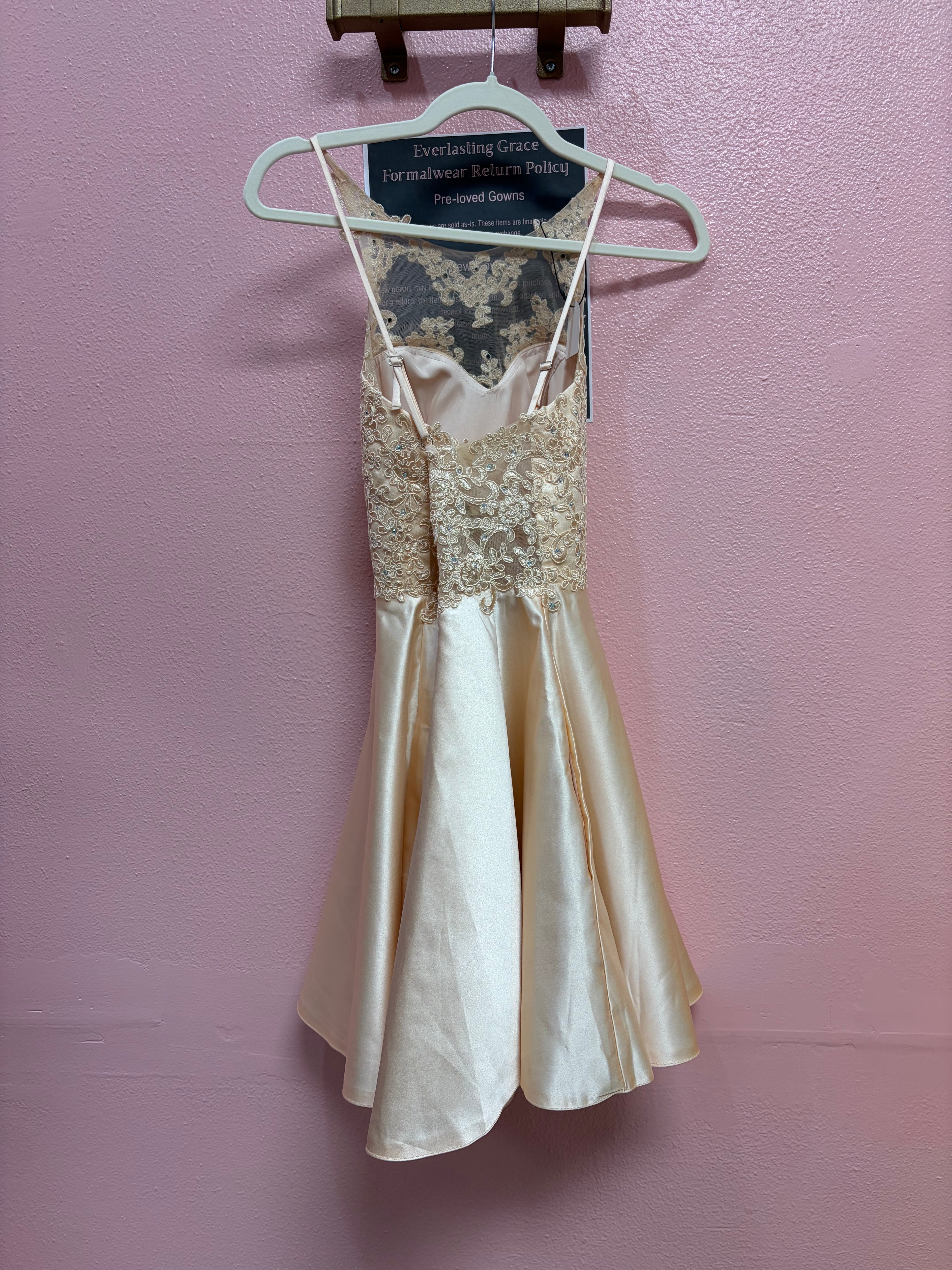 Blush Champagne Embroidered Skater Dress