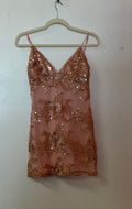 Lucy in the Sky Blush Pink Floral Sequin Mini Dress