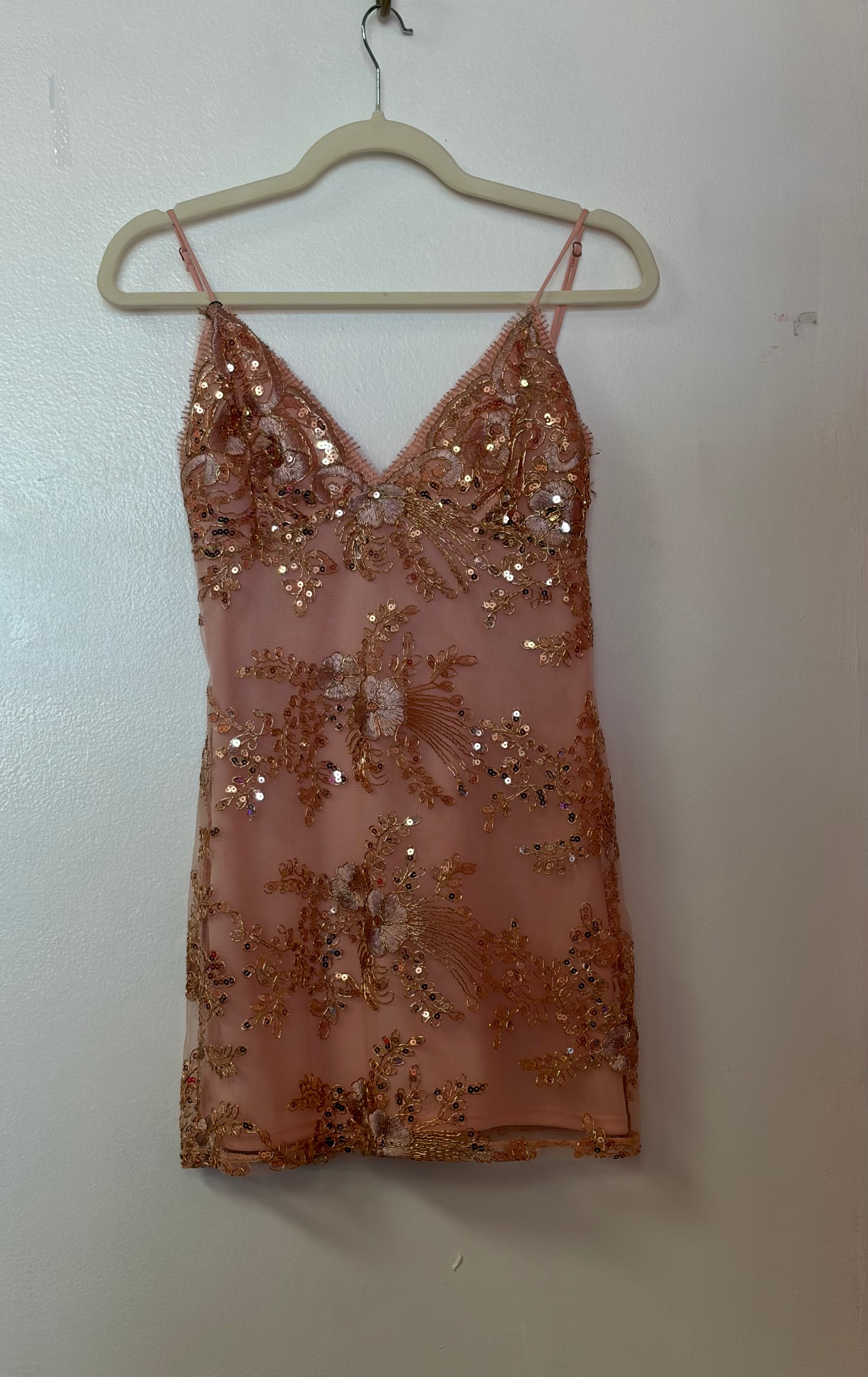 Lucy in the Sky Blush Pink Floral Sequin Mini Dress