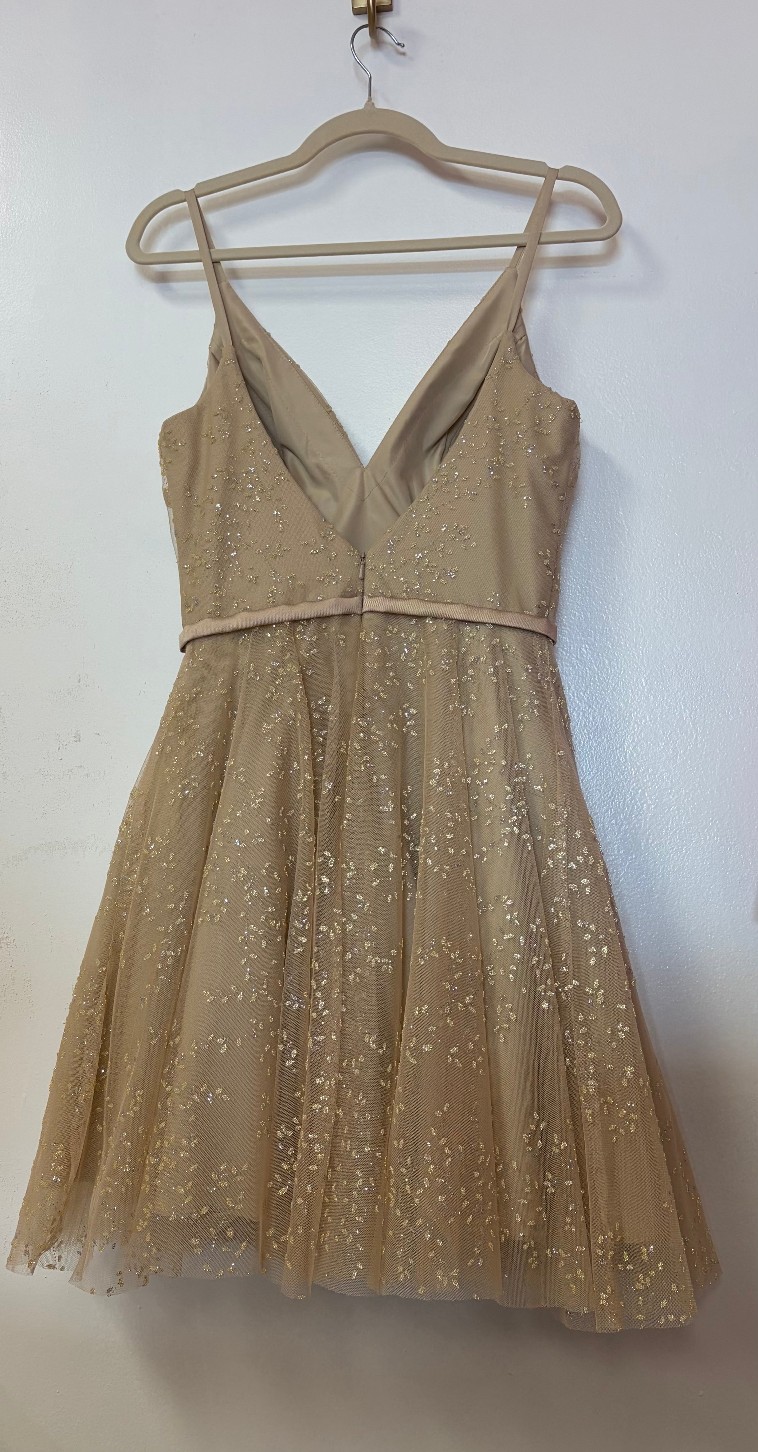 Champagne Glitter Tulle Fit & Flare Cocktail Dress – Glamour by Terani