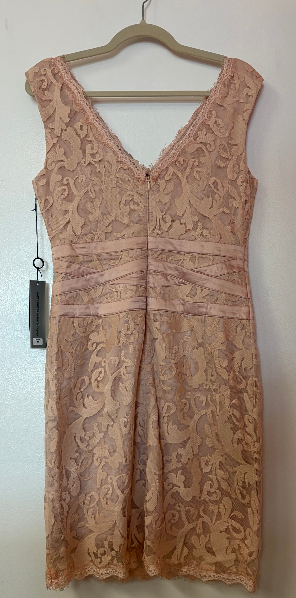 Chicas Blush Lace Sheath Cocktail Dress with Surplice V-Neck and Eyelash Trim
