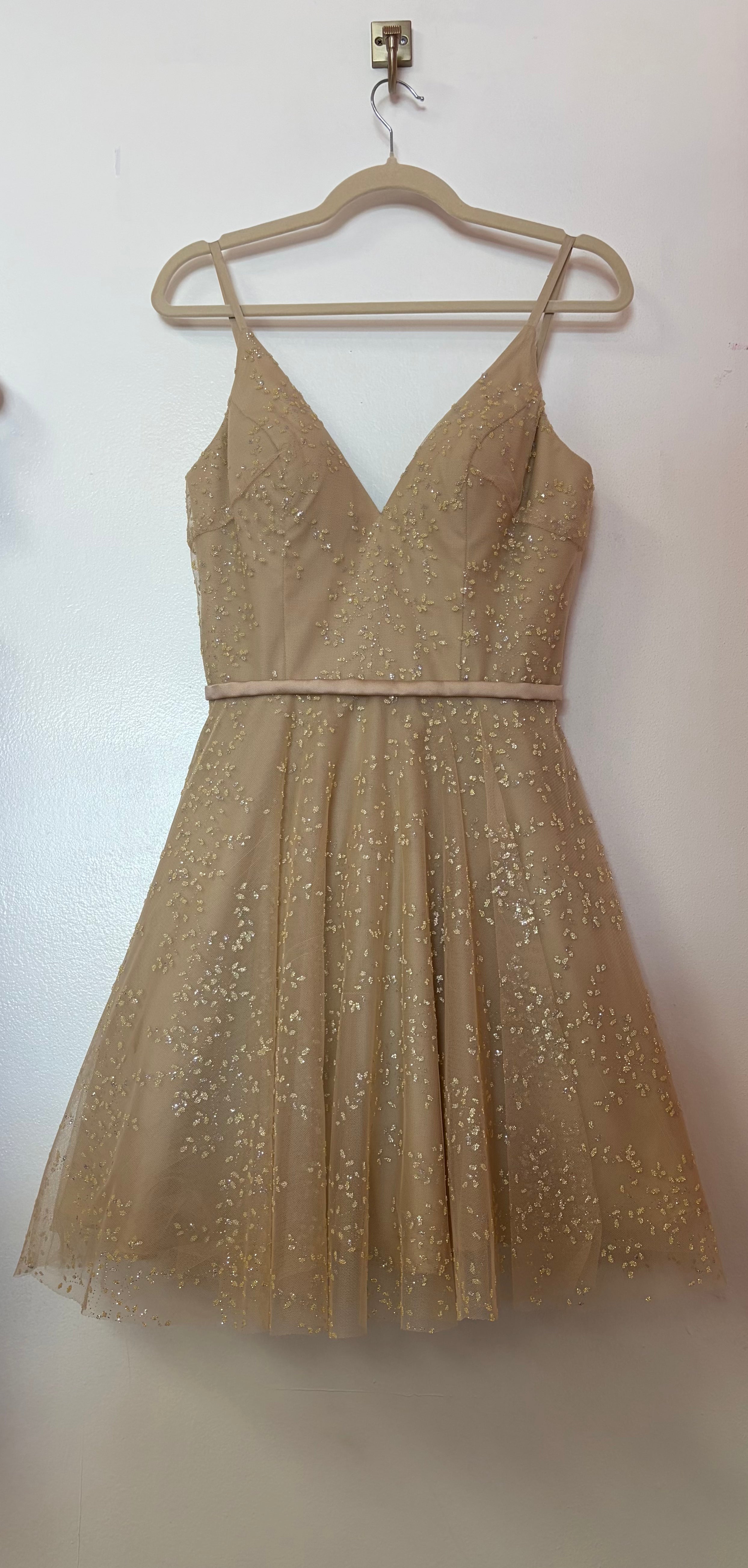 Champagne Glitter Tulle Fit & Flare Cocktail Dress – Glamour by Terani