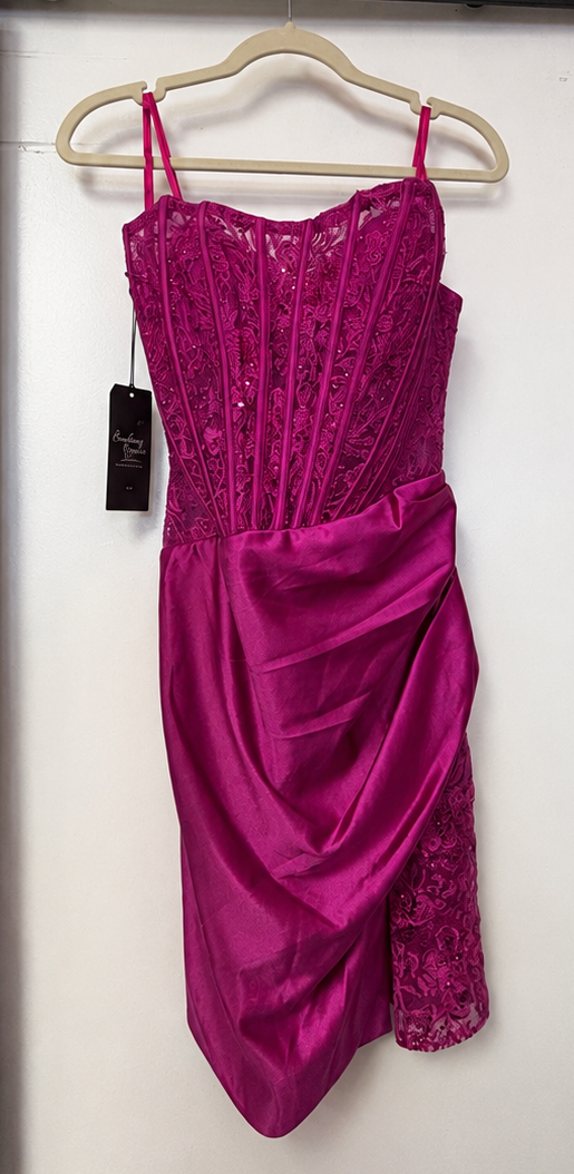Nox Anabel T870 Fuchsia Lace Corset Satin Mini Dress
