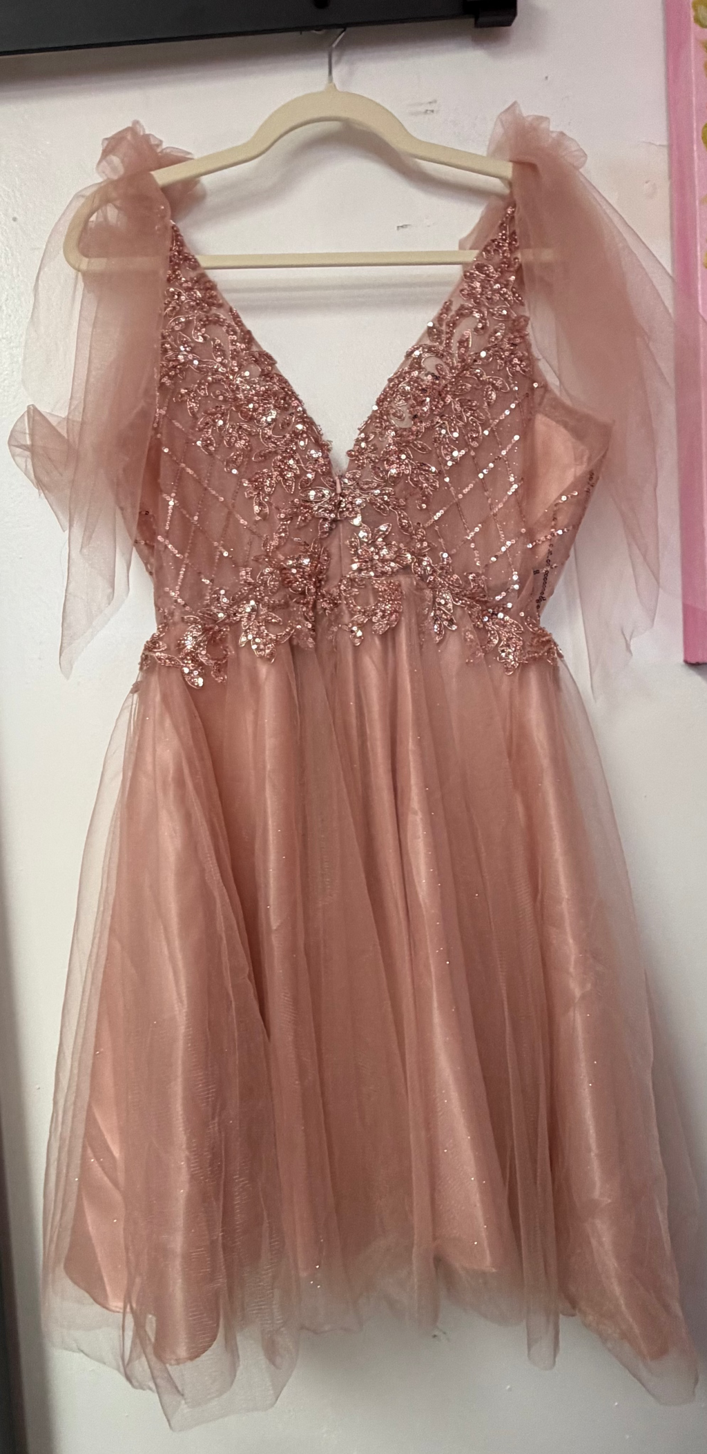 Cinderella Divine Blush Beaded Tulle Homecoming Dress with Bow Sleeves (Altered to Medium)